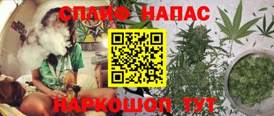 МДПВ Ставрополь